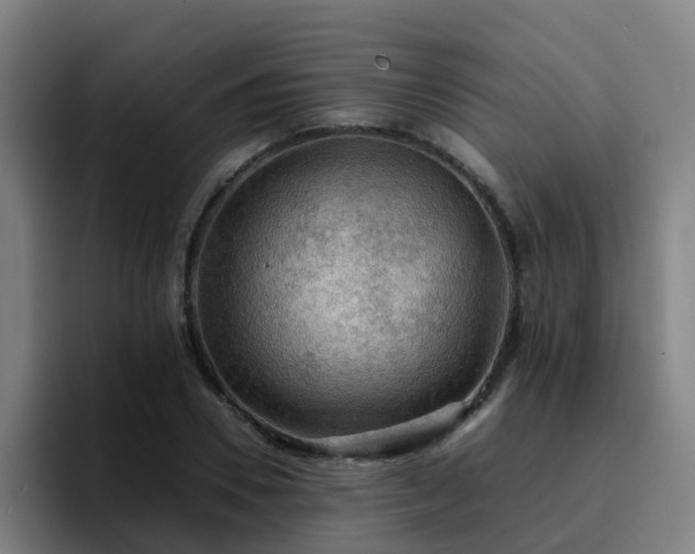 X0000094910930200712061046