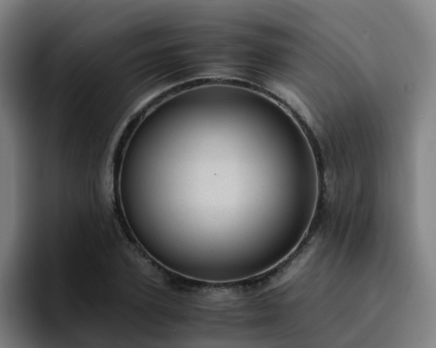 X0000094910931200712061046