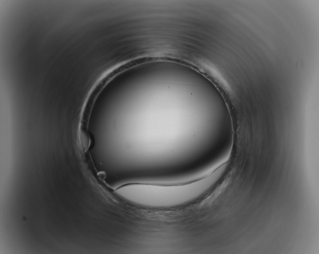 X0000094910932200712061046