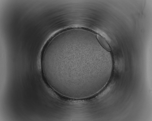X0000094910934200712061046