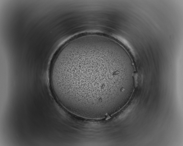 X0000094910935200712061046