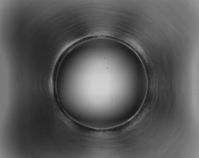 X0000094910936200712061046