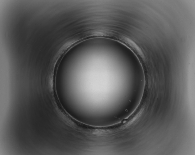 X0000094910938200712061046