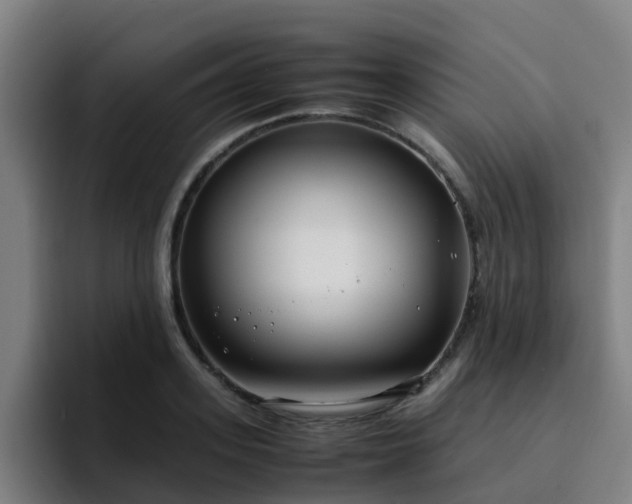 X0000094910939200712061046