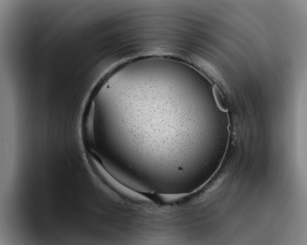 X0000094910942200712061046