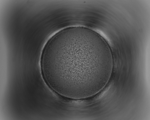 X0000094910943200712061046