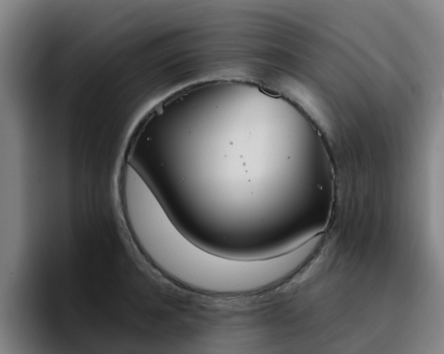 X0000094910944200712061046