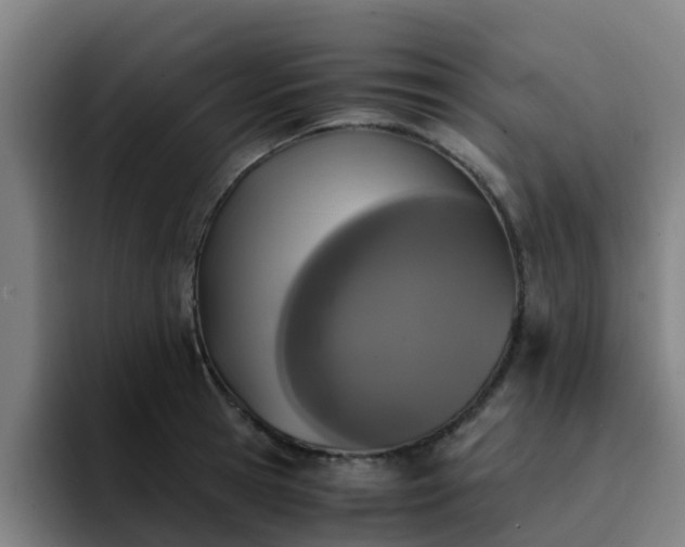 X0000094910945200712061046