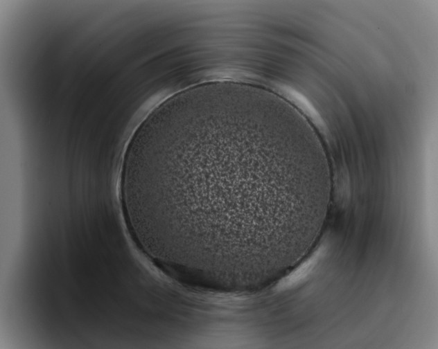 X0000094910946200712061046