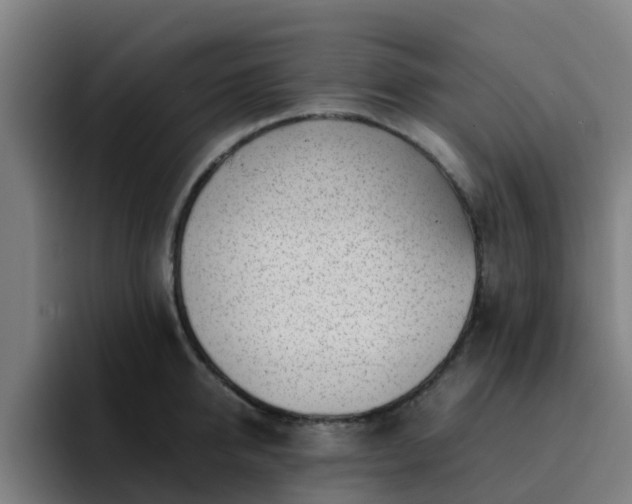 X0000094910950200712061046