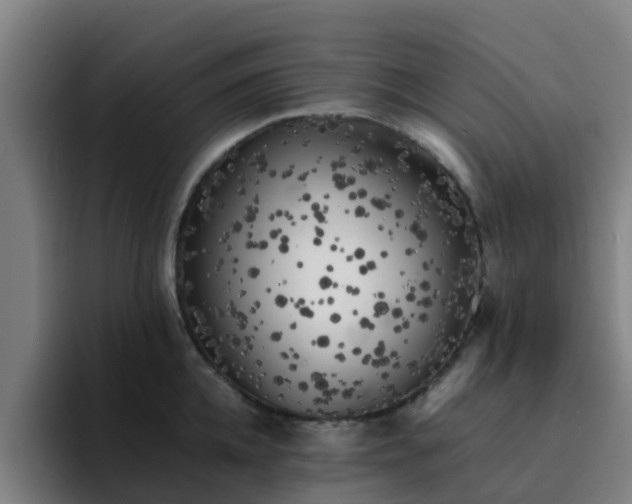 X0000094910952200712061046