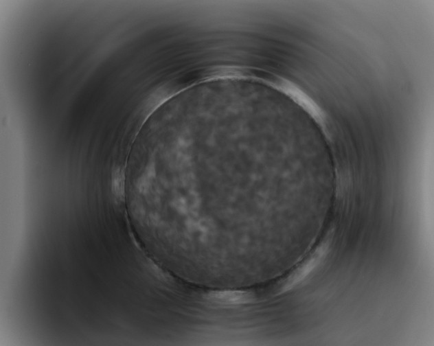 X0000094910953200712061046