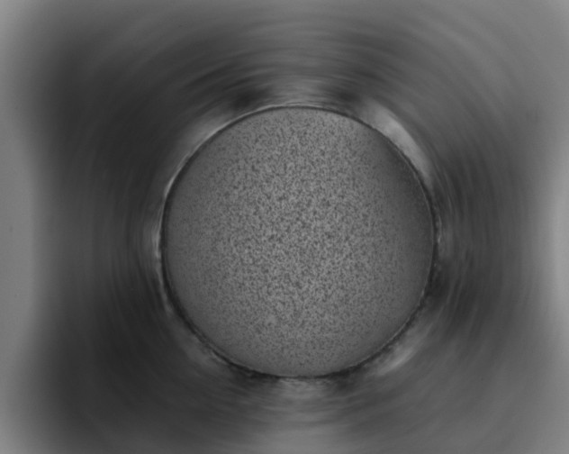 X0000094910954200712061046
