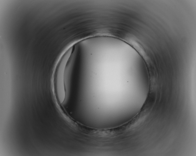 X0000094910955200712061046