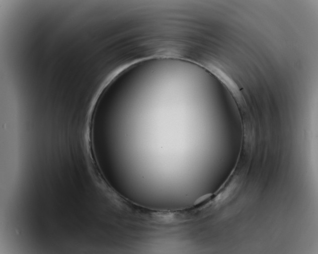 X0000094910956200712061046