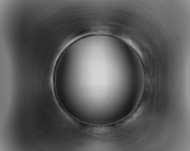 X0000094910959200712061046