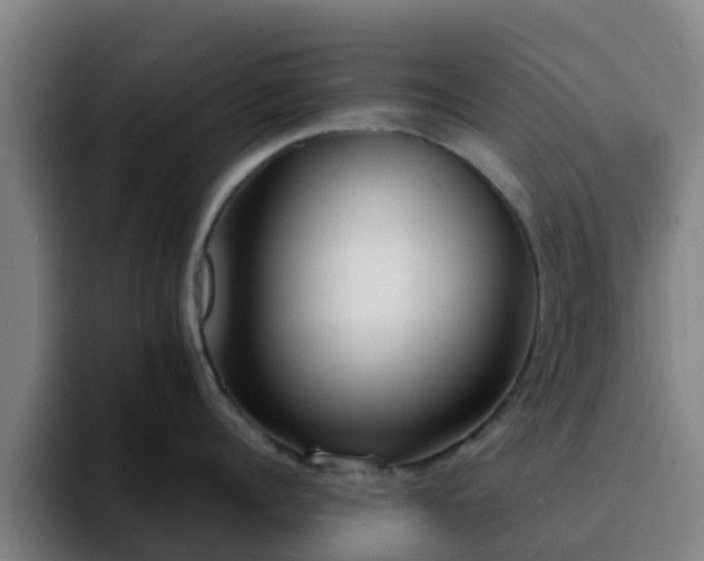 X0000094910960200712061046