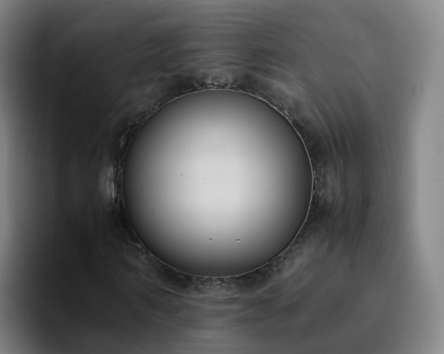 X0000094910962200712061045