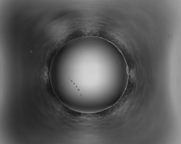 X0000094910963200712061045