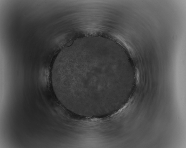 X0000094910964200712061045