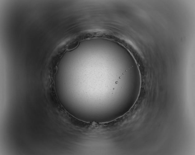 X0000094910967200712061045