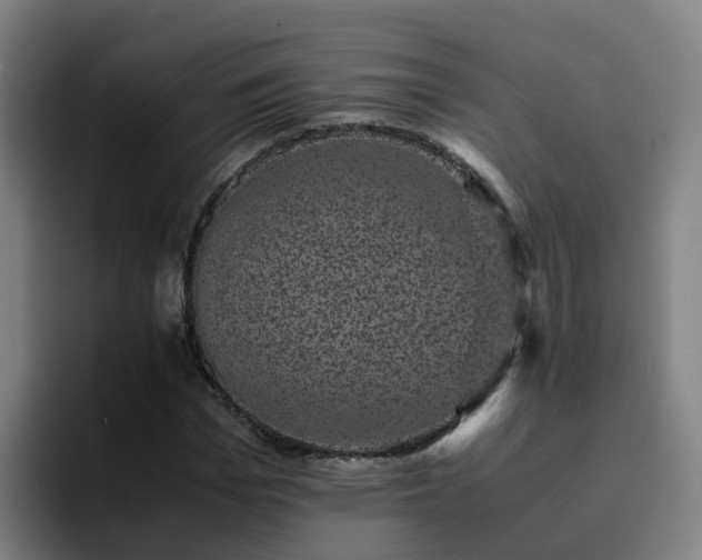 X0000094910969200712061045