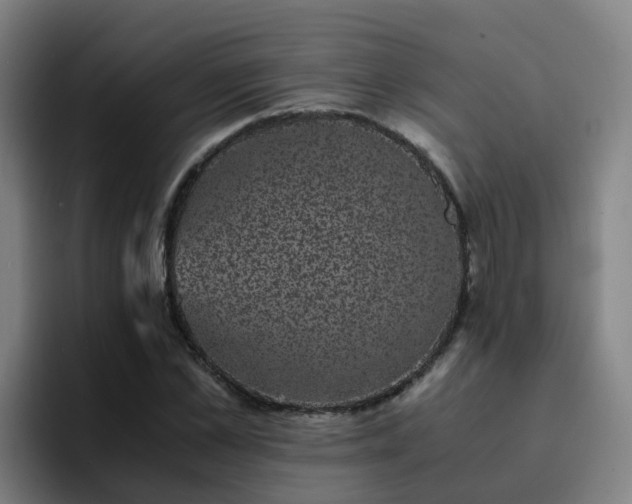 X0000094910973200712061045