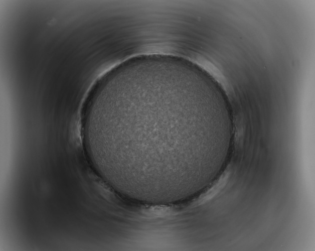 X0000094910974200712061045