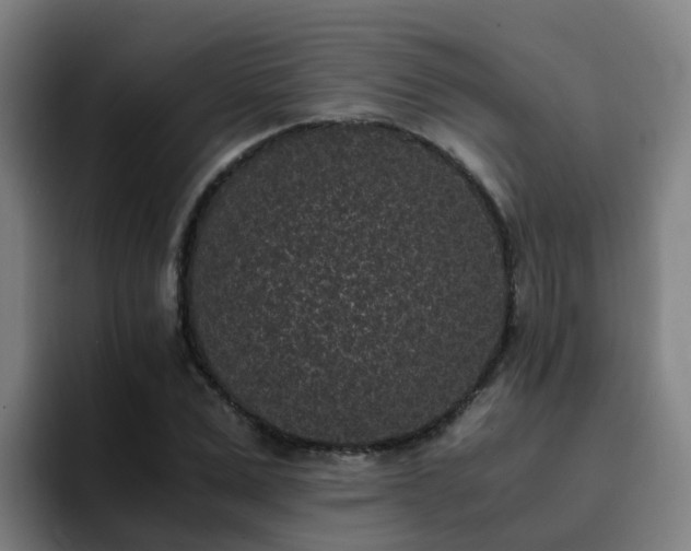X0000094910975200712061045
