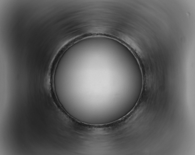X0000094910976200712061045
