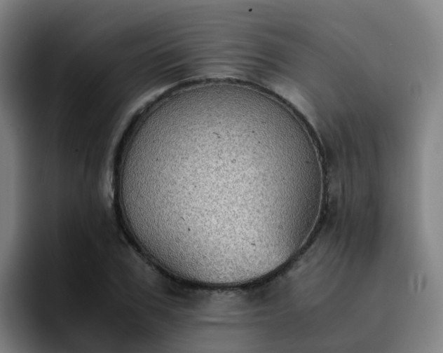 X0000094910979200712061045