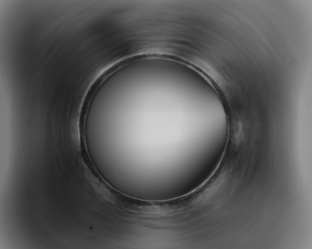 X0000094910980200712061045