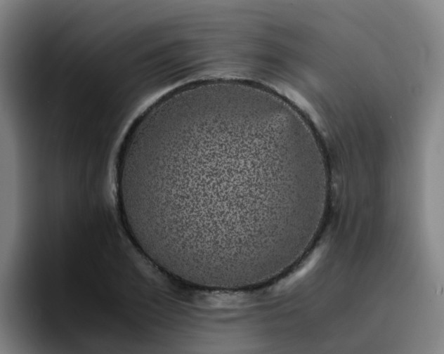 X0000094910981200712061045
