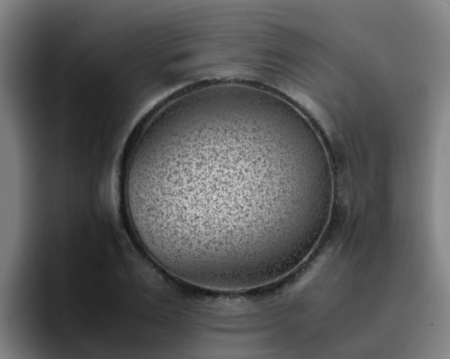 X0000094910983200712061045