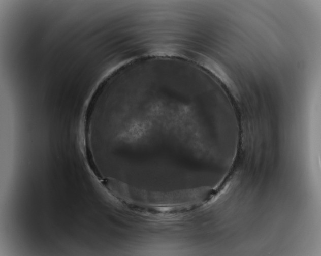 X0000094910984200712061045