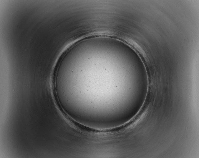 X0000094910989200712061045