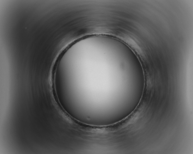 X0000094910990200712061045
