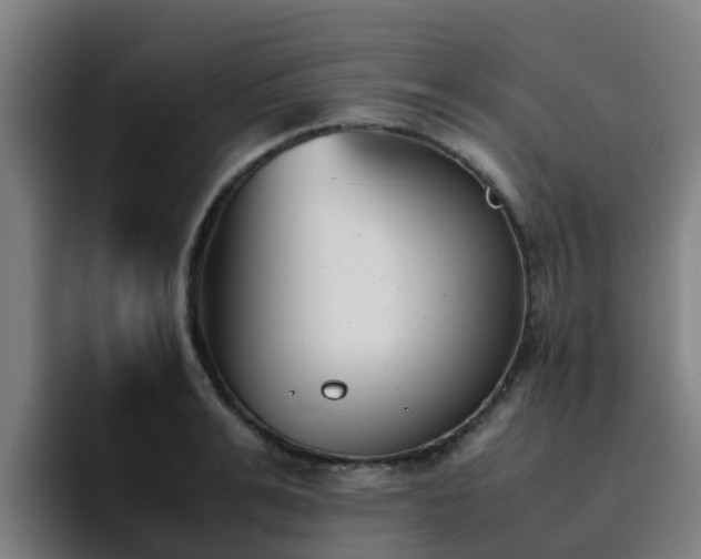 X0000094910991200712061045