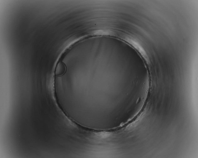 X0000094910992200712061045