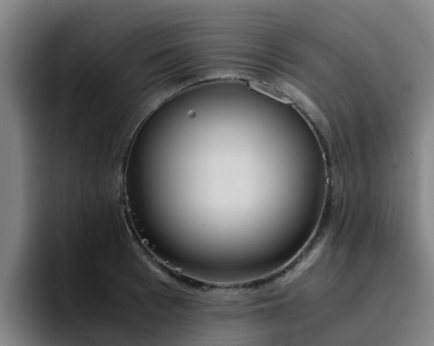 X0000094910993200712061045