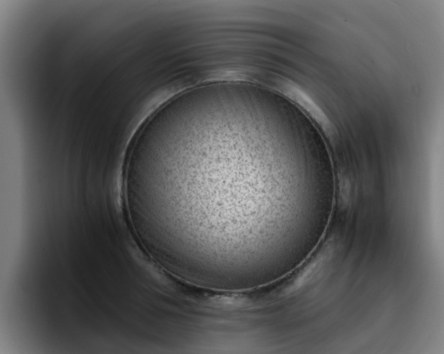 X0000094910994200712061045
