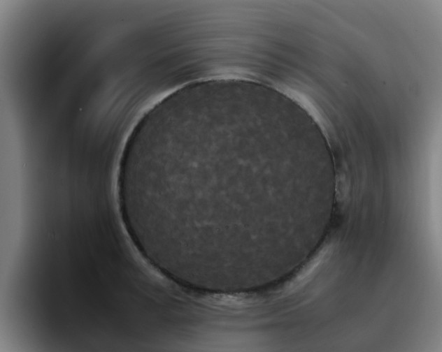 X0000094910995200712061045