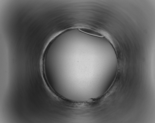 X0000094911003200712061045