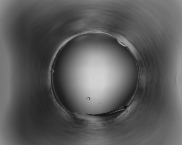 X0000094911004200712061045