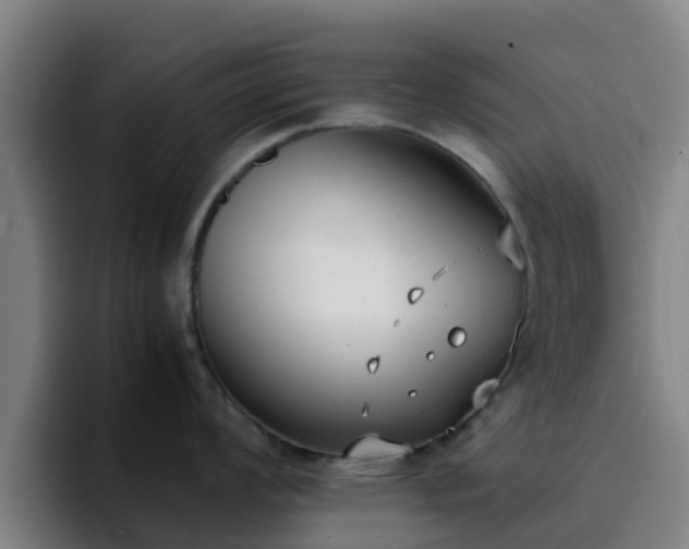 X0000094911008200712061045