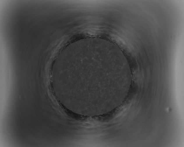 X0000094911009200712061044