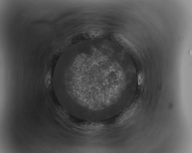 X0000094911011200712061044