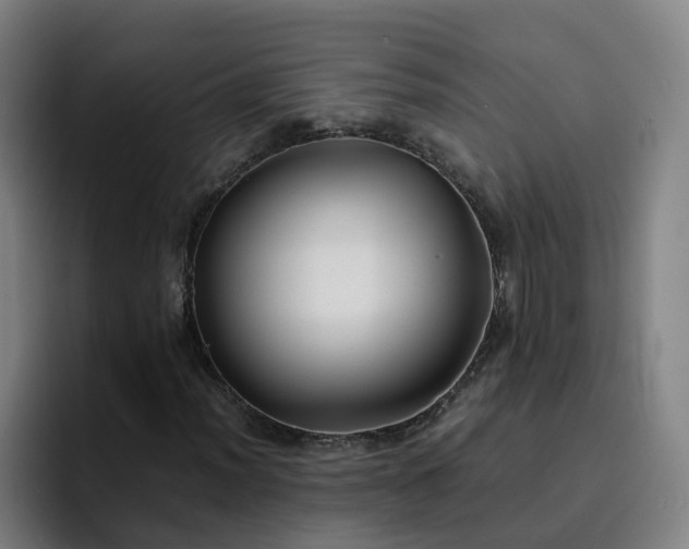 X0000094911012200712061044