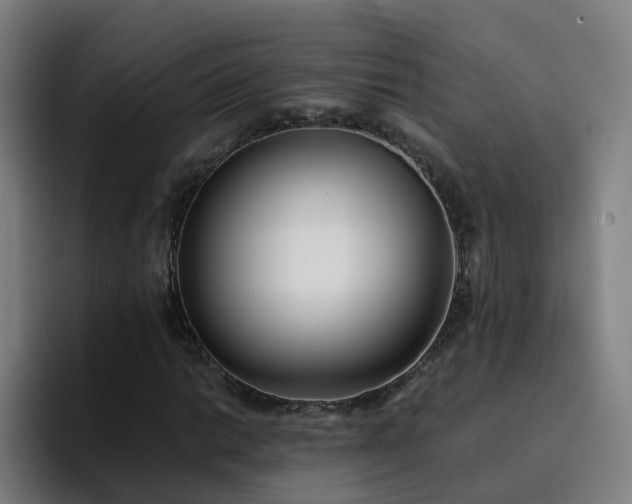 X0000094911014200712061044