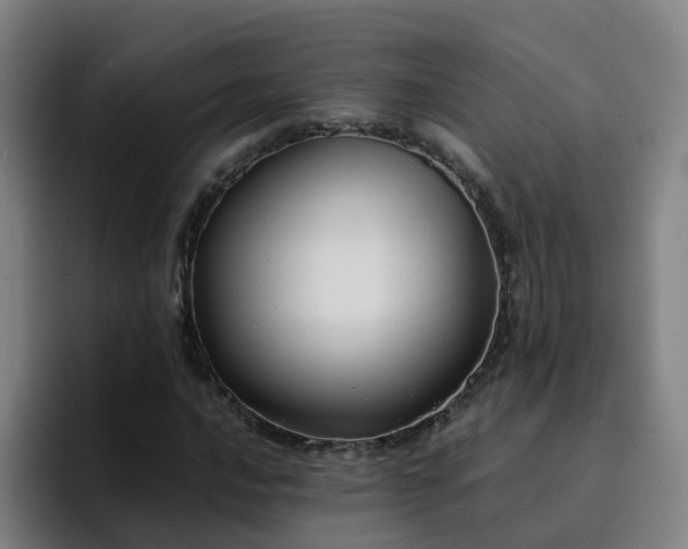 X0000094911016200712061044